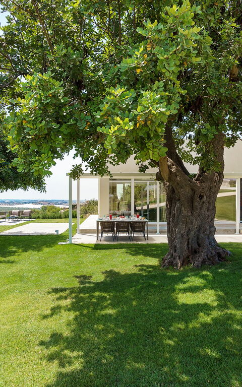 Villa Colleverde: Hage, Utendørs