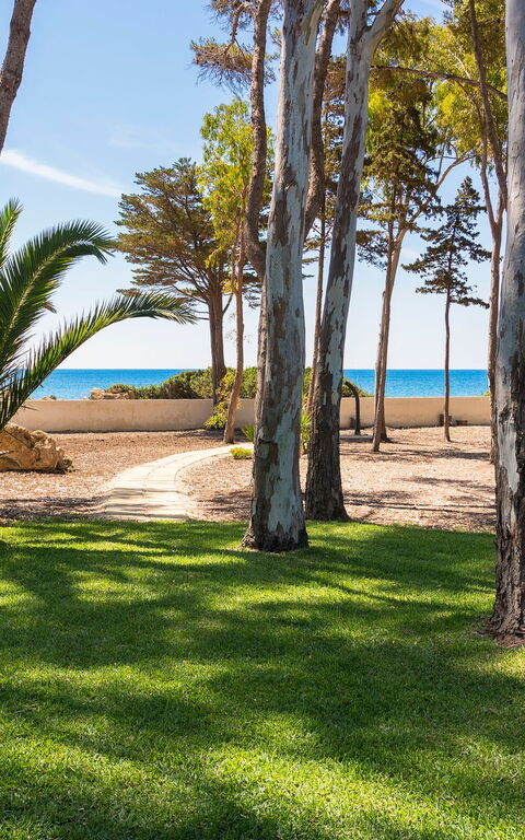 Marinella Punta Milocca: Hage, Utendørs