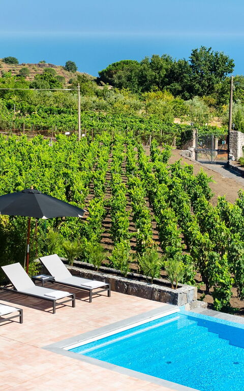 Villa Palmento Rosa: basseng