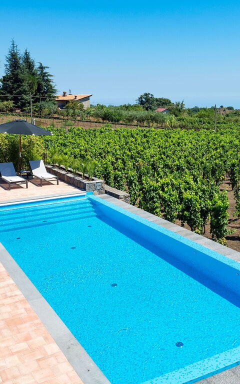 Villa Palmento Rosa: basseng