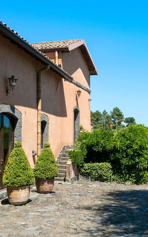 Villa Palmento Rosa: Eksteriør, Utendørs