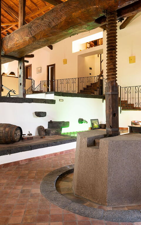 Villa Palmento Rosa: Stue