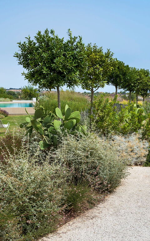 Villa Meravilla: Hage, Utendørs