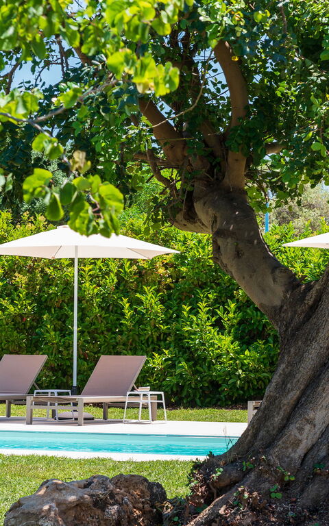 Villa Girasole: basseng, Hage