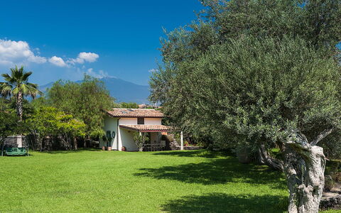 Feriebolig Casetta: Hage