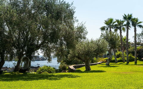 Feriebolig Casetta: Hage