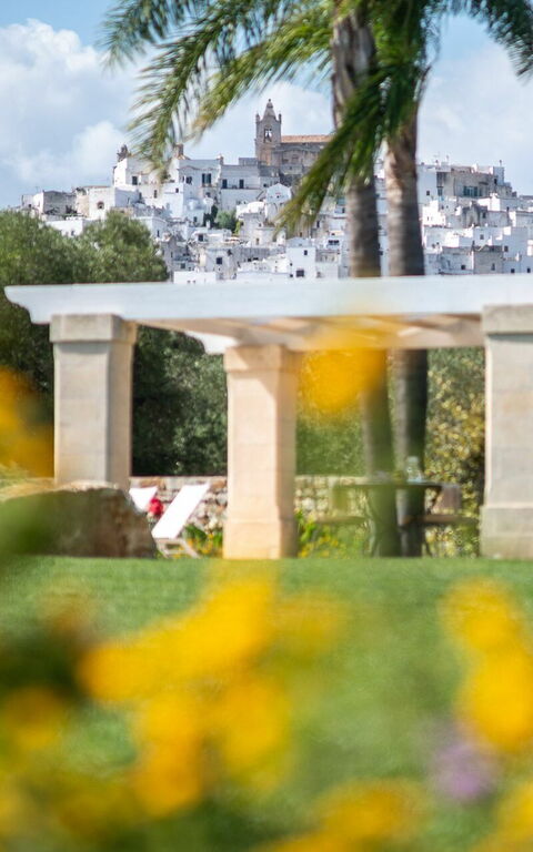 Villa Bellavista: Hage, Utendørs, Visningar