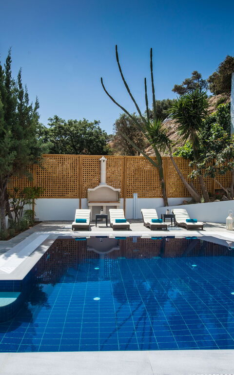 Villa Artemis: basseng