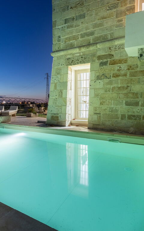 Villa Turris: basseng