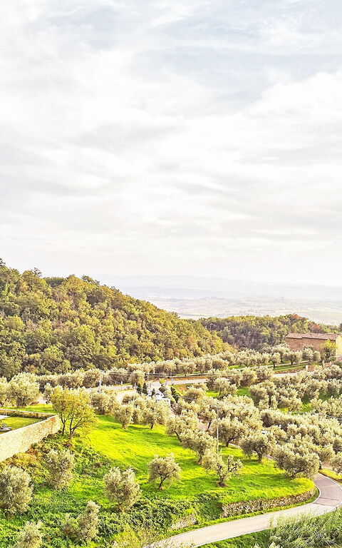 Casa Lionardo: Utendørs, Visningar
