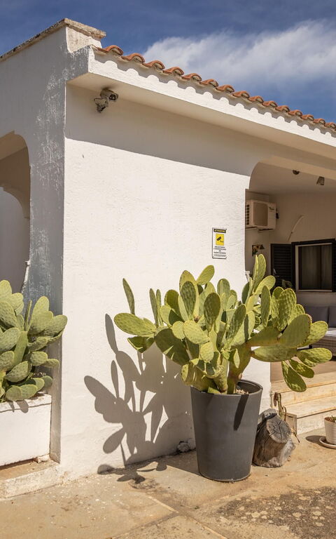 Villa Natura: Balkong / terrasse / uteplass, Eksteriør, Hovedinngang