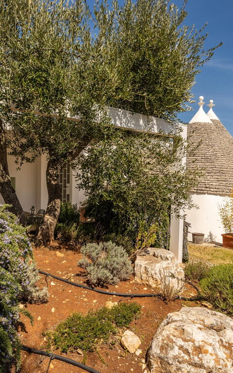 Tenuta Minnea: Eksteriør, Hage