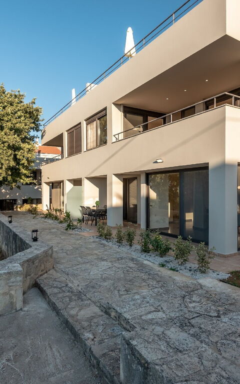 Aelia: Eksteriør, Hage