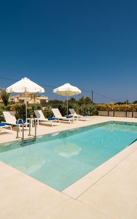 Iris: basseng, Hage, Utendørs