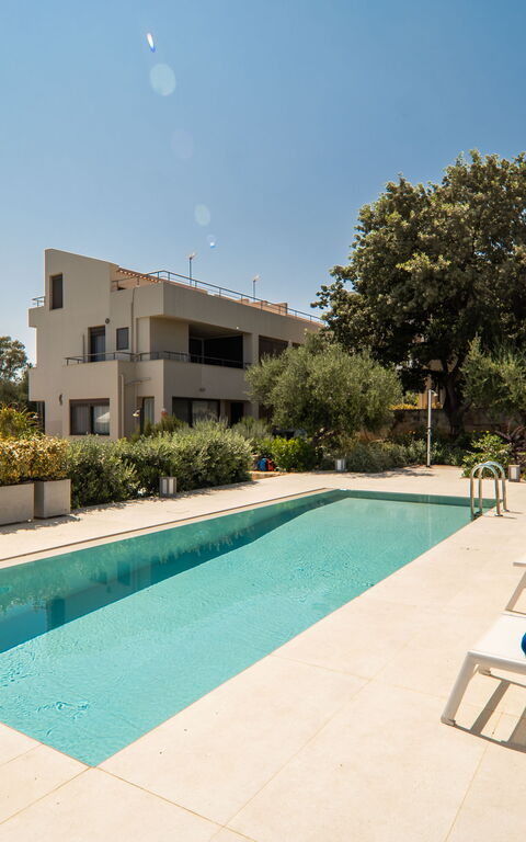 Iris: basseng, Hage, Utendørs