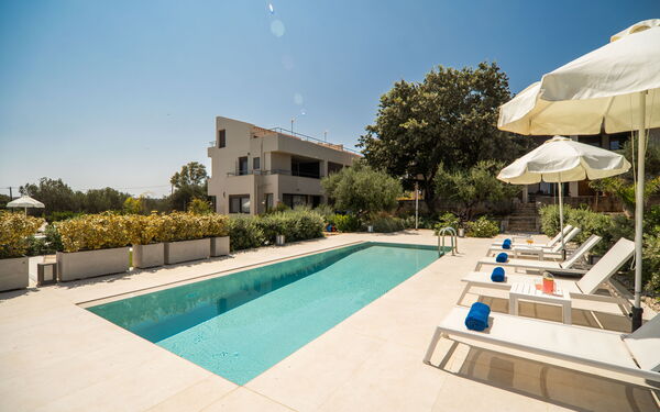 Iris: basseng, Hage, Utendørs