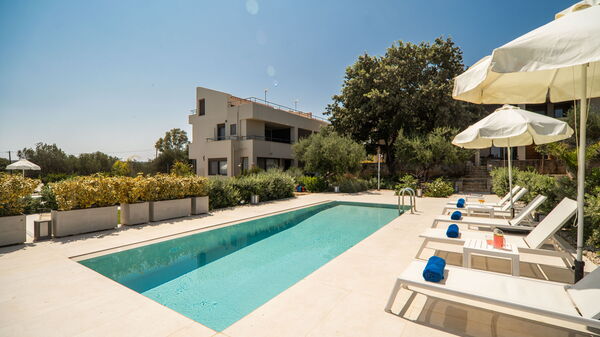 Iris: basseng, Hage, Utendørs