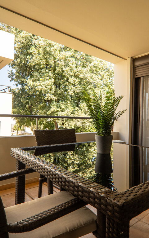 Dioni: basseng, Hage, Utendørs