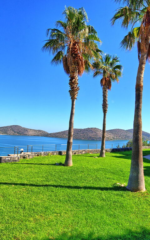 Villa Marina: Hage, Utendørs, Visningar