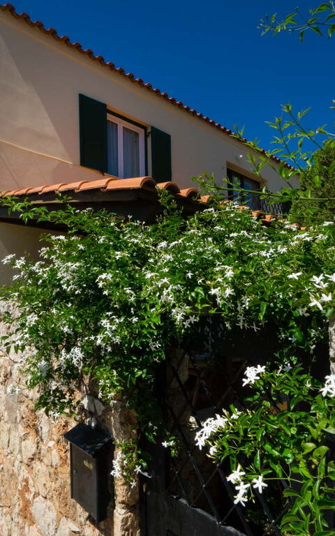 Villa Giani: Eksteriør, Hage