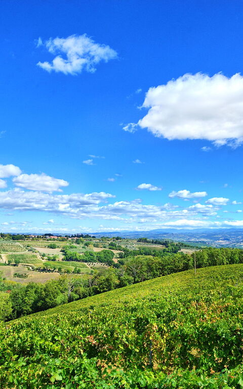 Montauto: Utendørs, Visningar