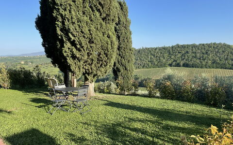 Feriebolig Carro: Hage, Utendørs