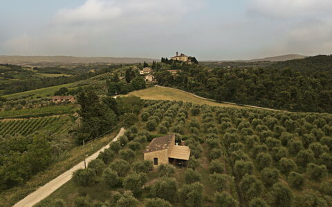 Feriebolig Capanna: Visningar