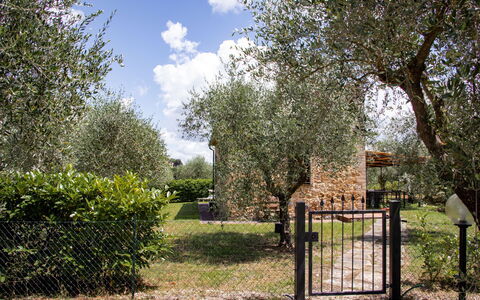 Feriebolig Capanna: Eksteriør, Hage