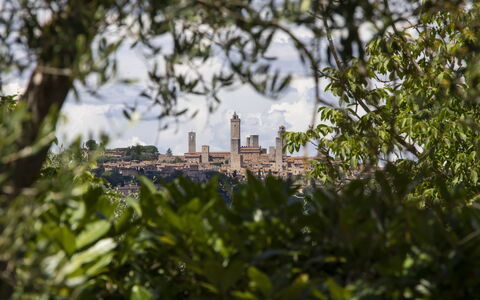 Feriebolig Capanna: Visningar