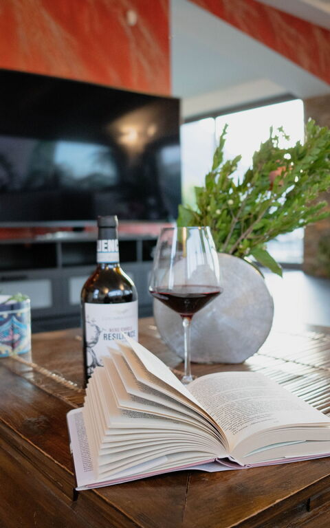 Villa Vincenzo: Stue