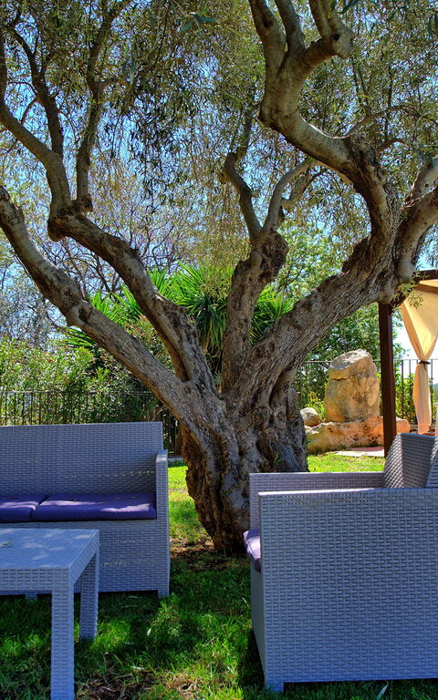 Villa Maddalena: Eksteriør, Hage, Utendørs