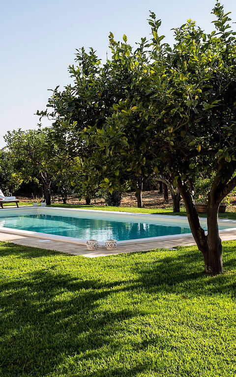 Don Salvatore: basseng, Eksteriør, Hage