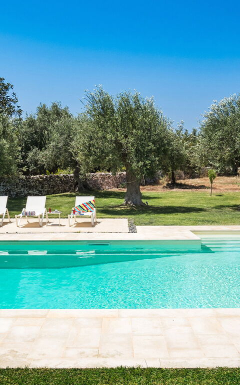 Corte Moscata: basseng, Eksteriør, Hage