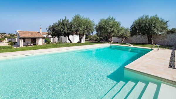 Corte Moscata: basseng, Eksteriør, Hage