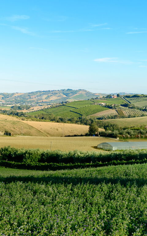 Villa Vittoria: Utendørs, Visningar