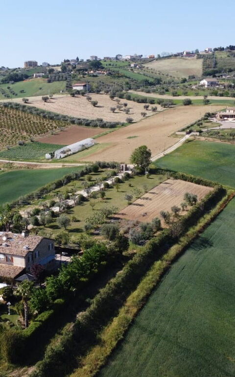 Villa Vittoria: Utendørs