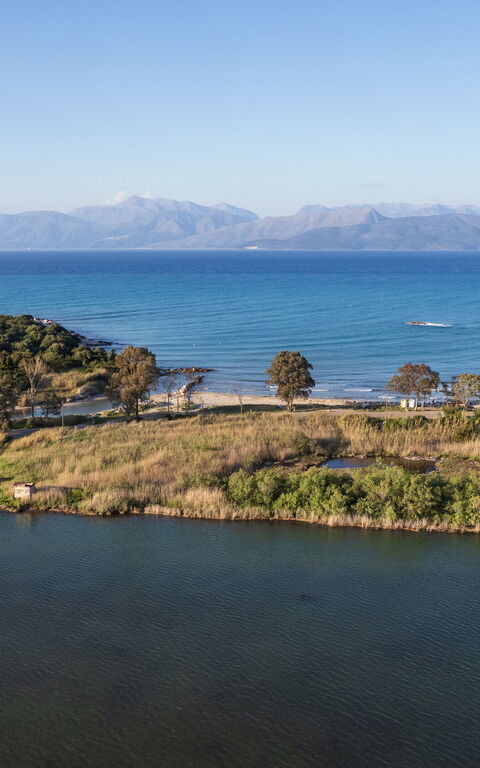Villa Otter: Utendørs, Visningar