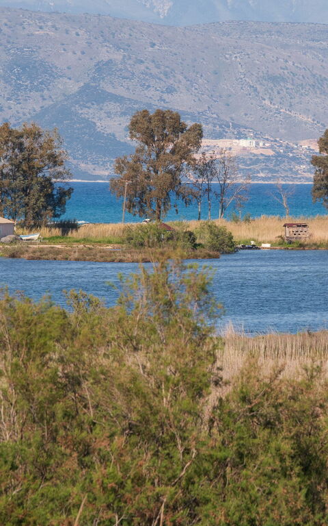 Villa Otter: Utendørs, Visningar