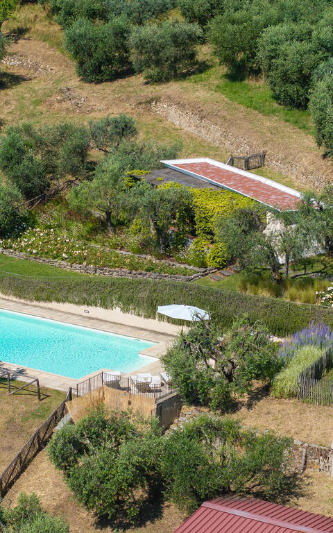 Villa Bellostare: basseng, Hage, Utendørs, Visningar