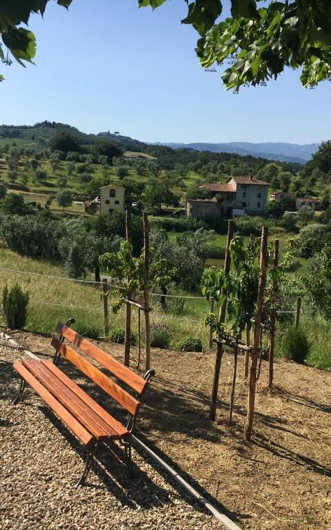 Bello Stare: Eksteriør, Utendørs