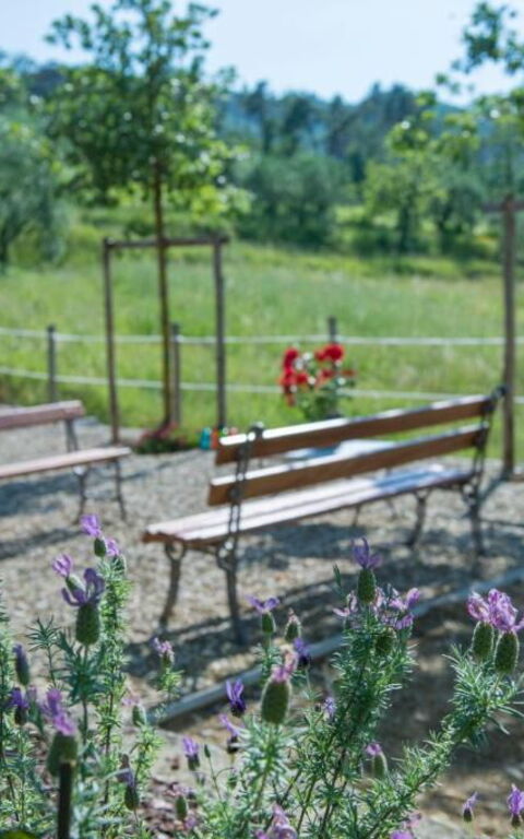 Bello Stare: Eksteriør, Utendørs