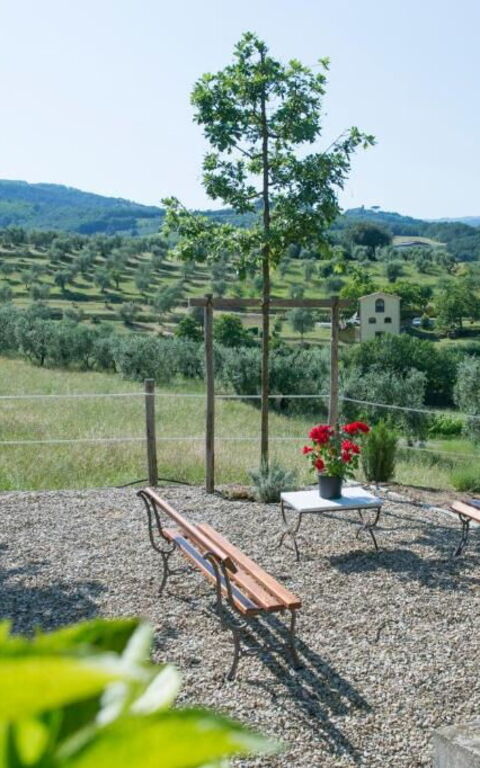 Bello Stare: Eksteriør, Utendørs