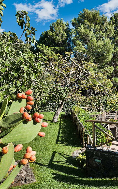 Villa Montefiore: Hage