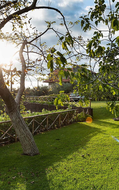 Villa Montefiore: Hage