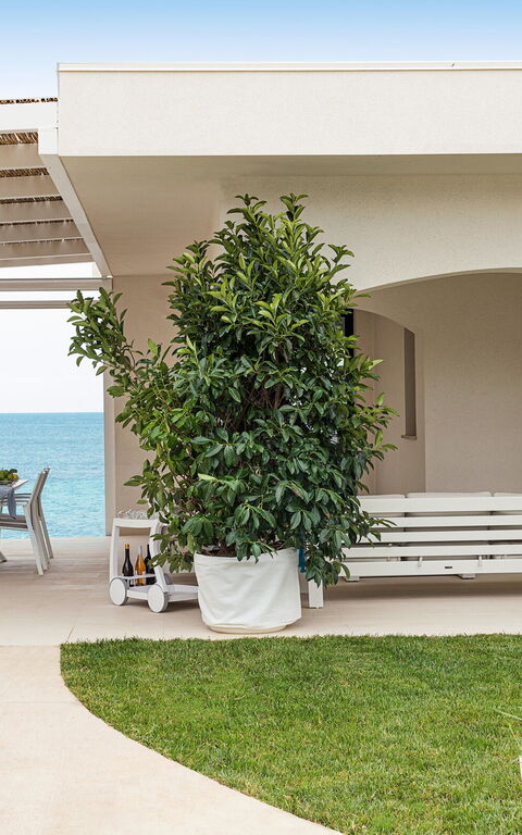 Villa Hermes: basseng, Eksteriør, Utendørs