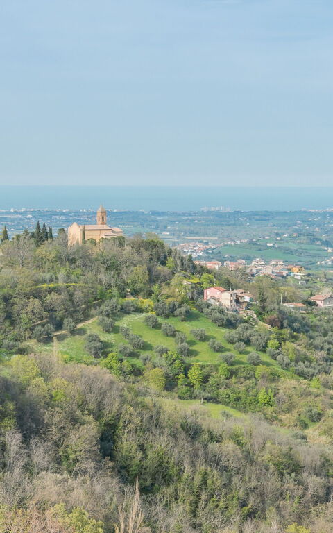 La Nocciola: Visningar