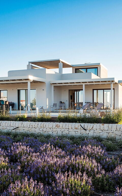 Villa San Lorenzo Ulivo: Eksteriør, Utendørs