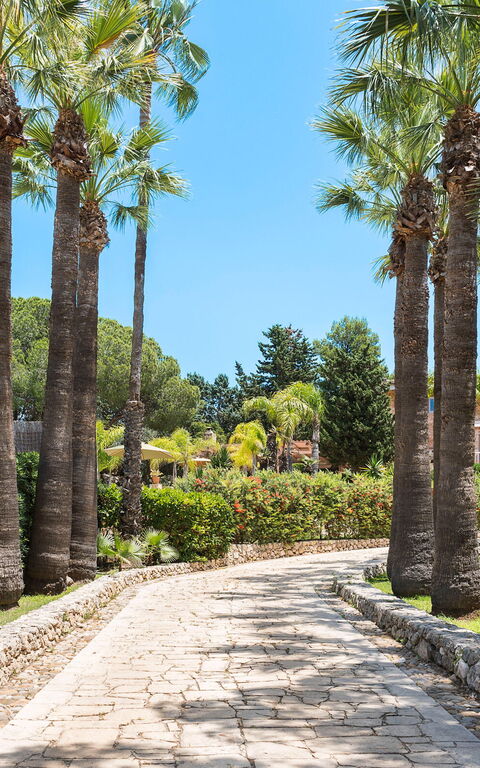 Villa Madda: Hage, Utendørs