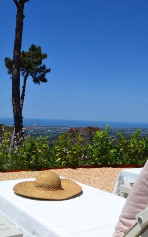 Casarosa Di Mariasole: Sommer, Utendørs