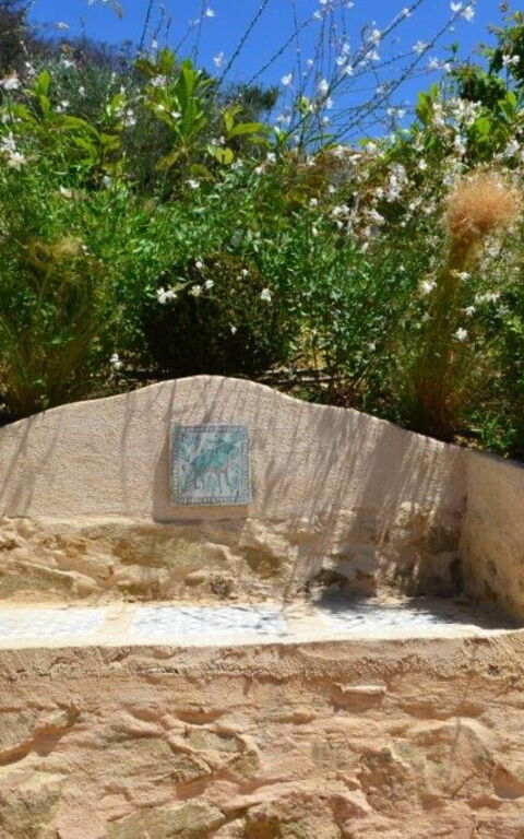 Casarosa Di Mariasole: Sommer, Utendørs